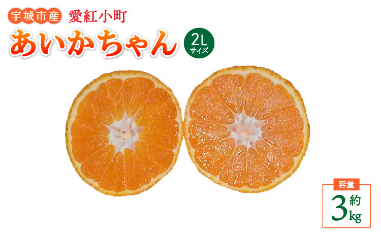 愛紅小町 あいかちゃん 約3kg 15〜20玉 2Lサイズ 【吉田レモニー】 【2025年10月上旬-2026年1月下旬発送】 温州みかん