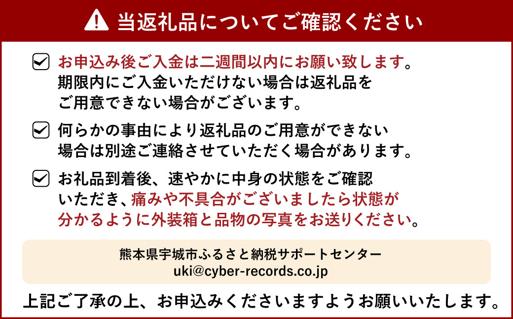 【先行予約】不知火 約3kg【坂下園】【2025年2月下旬から2025年4月上旬発送予定】しらぬい 蜜柑 熊本県産 九州産 国産