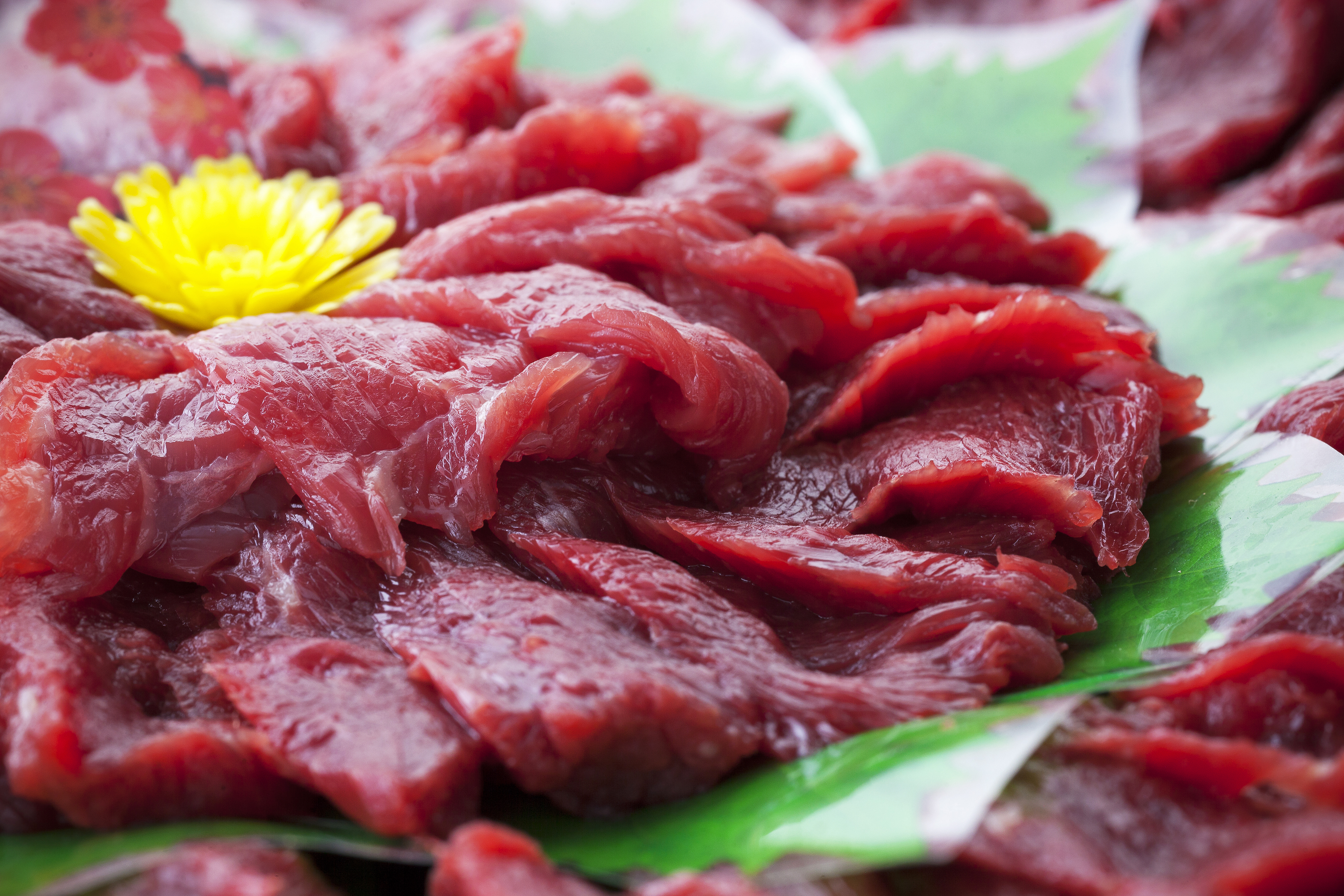 【国内肥育】特選 馬刺し 赤身 1kg（50g×20個） 醤油・生姜付き