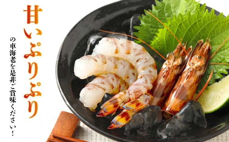 特殊冷凍 車海老 (大サイズ) 250g×3パック 計750g 熊本県産