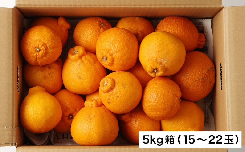 宇城市産 訳あり不知火 約5kg（15～22玉）【高岡農園】【2025年3月上旬～2025年4月上旬発送予定】不知火 デコポン 柑橘 果物 フルーツ 完熟