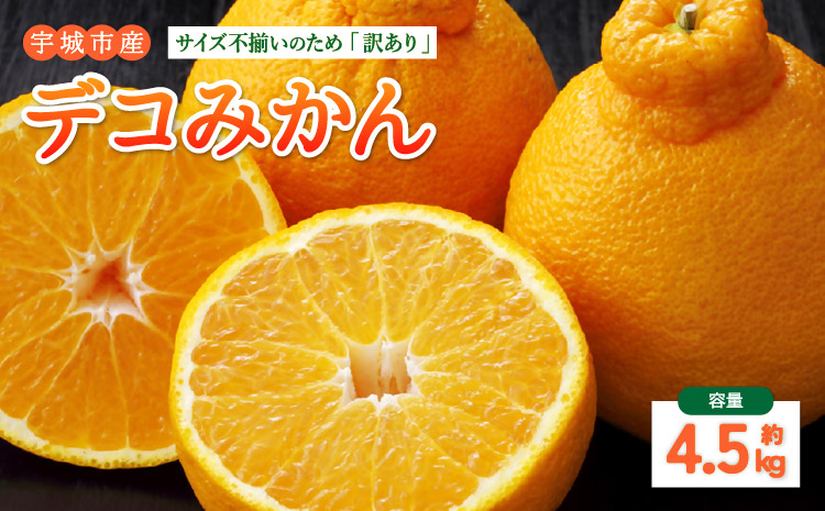 訳あり デコみかん 4.5kg【2027年1月中旬-2027年4月下旬発送予定】  家庭用 規格外 フルーツ みかん 果物 果物 旬