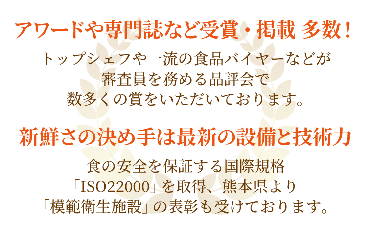 フジチク ふじ 馬刺し 上赤身 4個 セット 合計約320g