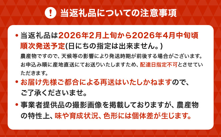 【先行予約】 熊本県宇城市産 パール柑 約10kg 【2026年2月上旬から4月中旬発送予定】文旦 柑橘 フルーツ 果物 果実 みかん 蜜柑 ミカン