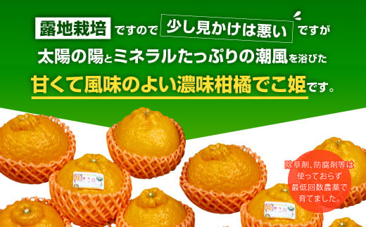 【先行受付】【2024年4月上旬〜順次発送予定】不知火 でこ姫	約2.5kg（6〜12玉）吉田レモニー 柑橘 フルーツ 果物