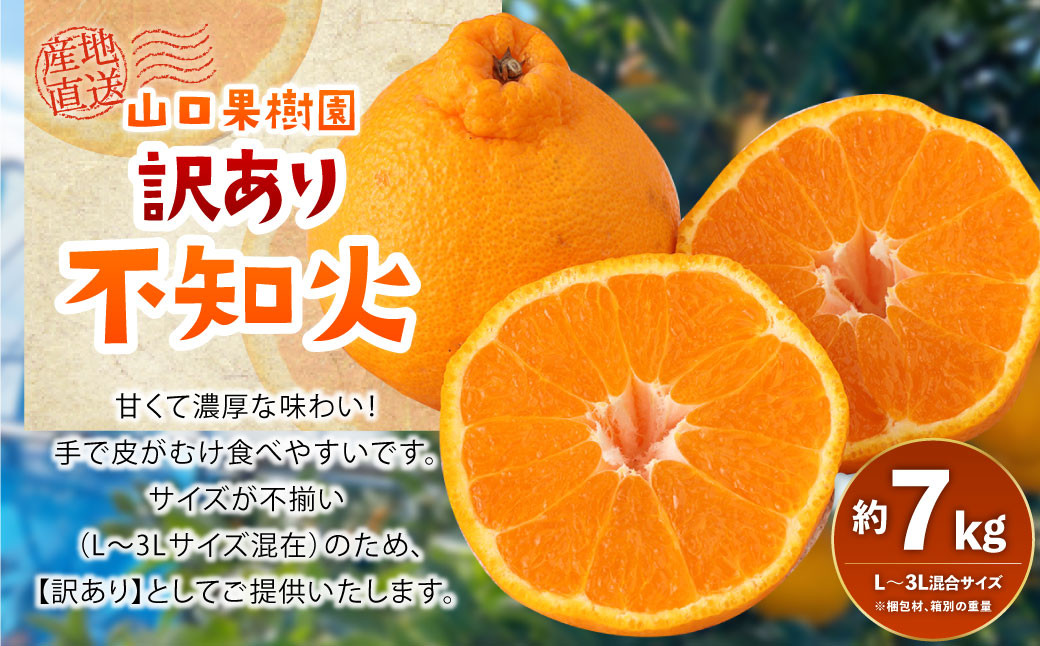 【先行受付】山口果樹園 訳あり不知火 約7kg L～3L混合【2025年2月上旬から4月上旬発送予定】不知火 しらぬい 蜜柑 くだもの フルーツ 果物