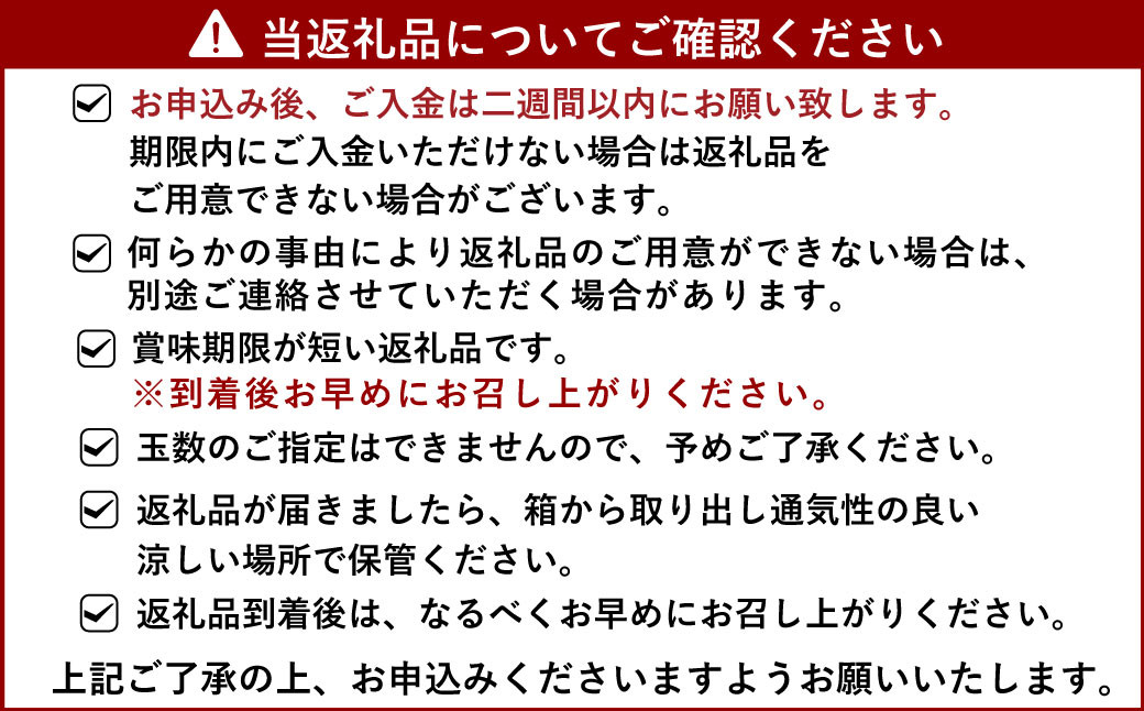 【2024年2月上旬より順次発送予定】不知火 約3kg 化粧箱入り 津志田果樹園