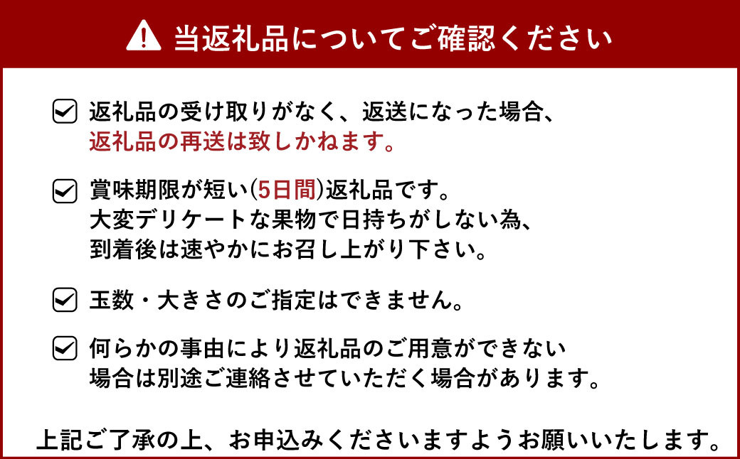 【2024年3月発送】【1月上旬～順次発送予定】宇城市産 いちご あまおとめ 約1kg(約250g×4パック) NAGATA FARM