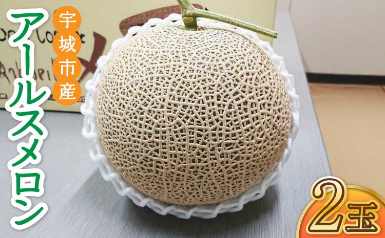 宇城市産 アールスメロン 2玉 フレッシュダイレクト【2026年6月上旬〜7月下旬頃順次発送予定】