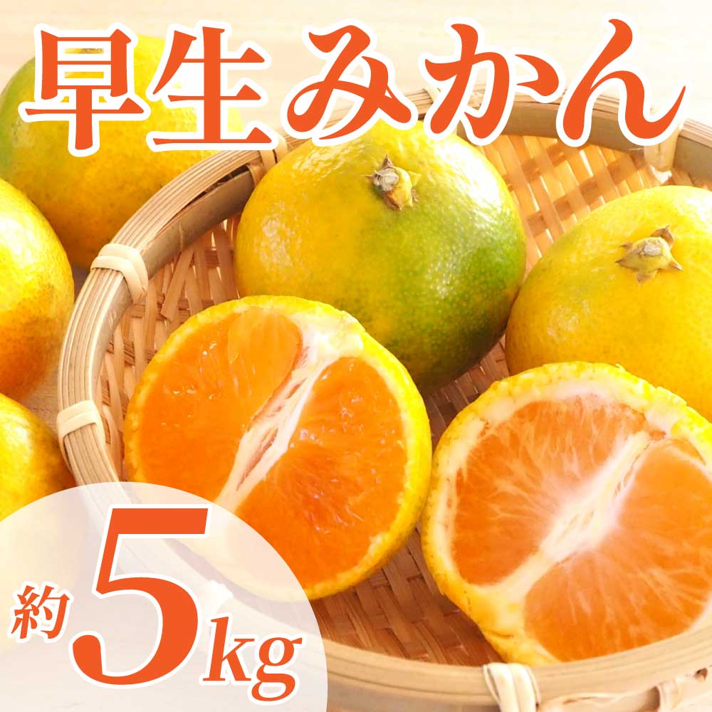 先行予約 早生みかん 約5kg（2S〜2L）【2026年11月上旬〜2026年11月下旬配送予定】 みかん ミカン 早生みかん フルーツ 果物 柑橘 かんきつ蜜柑 熊本県 熊本 九州 宇城市 国産 高糖度 甘い ジューシー みずみずしい 果汁 酸味 日本フルーツ