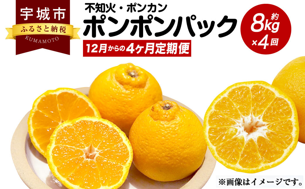 【12月からの4ヶ月定期便】ポンポンパック 定期便 柑橘 果物 くだもの お取り寄せ 熊本県 宇城市