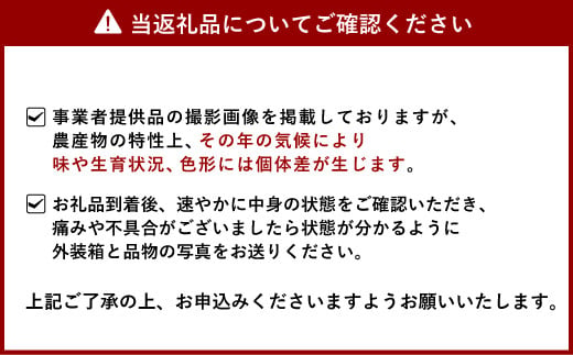 いちご 恋のぞみ 約400g×2パック 合計約800g 【12月上旬から2025年3月下旬発送予定】いちご イチゴ 苺 恋のぞみ フルーツ くだもの 果物 熊本県産 宇城市