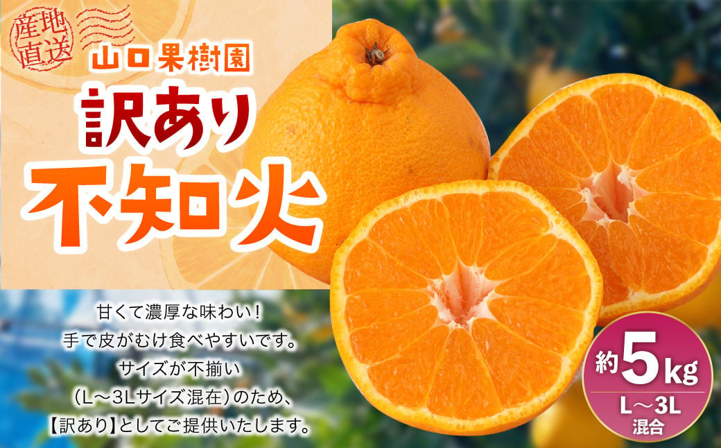 【先行受付】山口果樹園 訳あり 不知火  約5kg L～3L混合【2025年2月上旬から4月上旬発送予定】不知火 しらぬい 蜜柑 くだもの フルーツ 果物