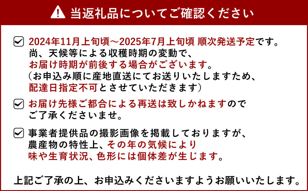 国産 リスボンレモン 約2.5kg 20〜30玉【吉田レモニー】【2024年11月上旬〜2025年7月上旬発送】檸檬 レモン 柑橘 果物 フルーツ