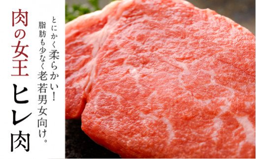 【定期便10か月】熊本県産 ステーキ用 あか牛 ヒレ肉600g ロース肉800g【合計14kg】
