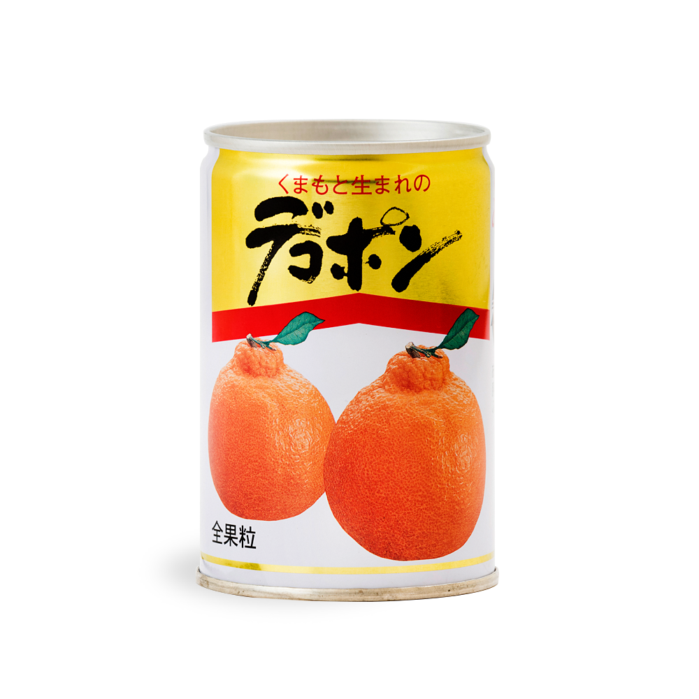 【順次発送】くまもとの果樹園 デコポン 缶詰 10缶 セット 
