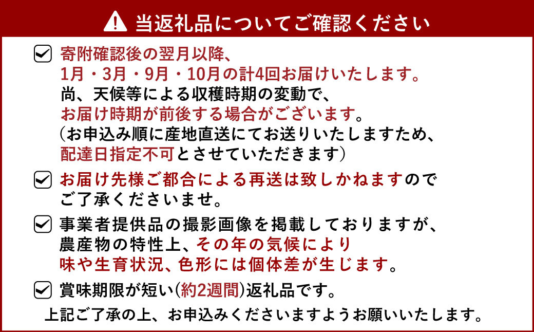 年4回 果樹園の柑橘定期便【2025年1月下旬発送開始】ポンカン5kg 不知火4kg 極早生みかん5kg 早生みかん5kg 合計19kg 定期便 不知火 しらぬい ポンカン みかん ミカン 蜜柑 くだもの フルーツ 果物 