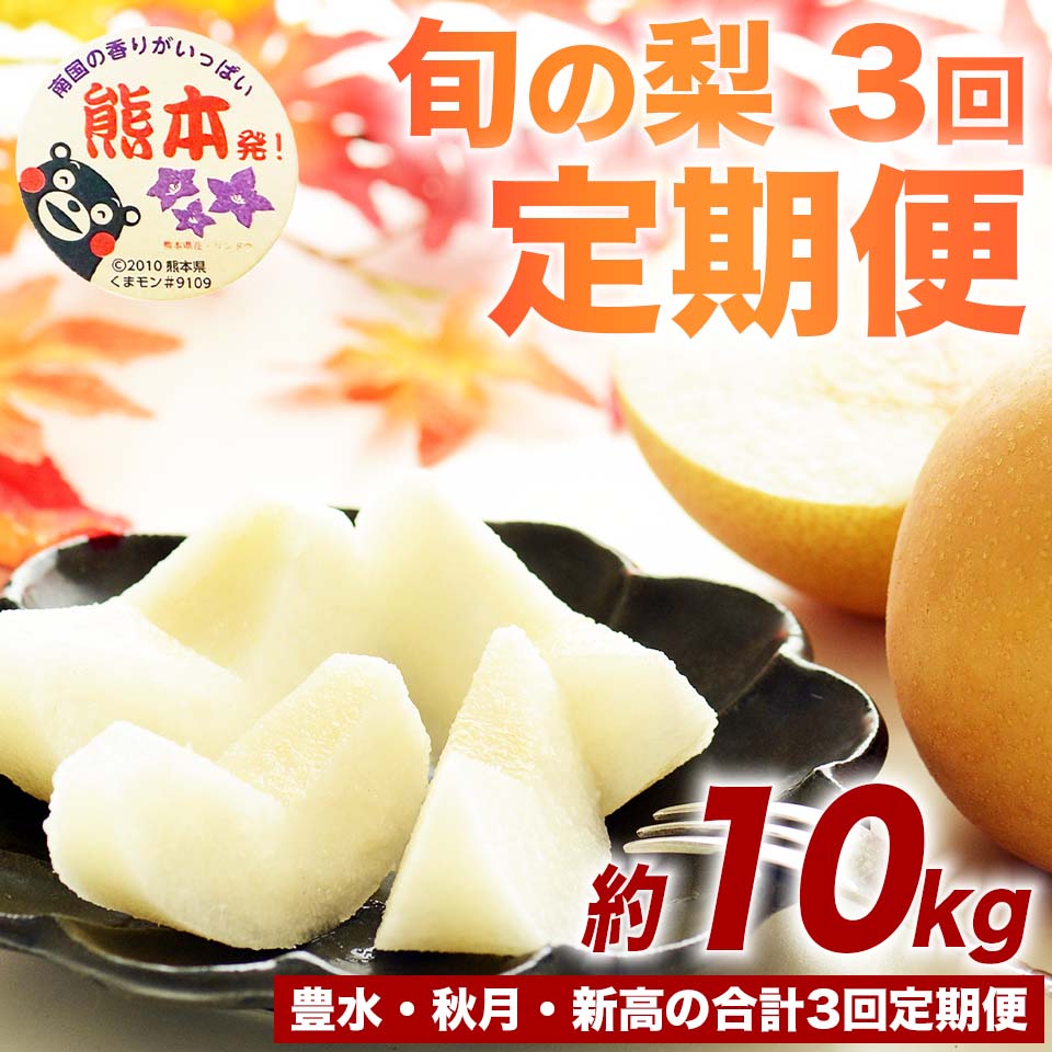 定期便3回 先行予約 梨 なし ナシ 和梨 豊水 秋月 新高 フルーツ 果物 くだもの 約10kg (12〜36玉)×3回【2026年8月上旬〜2026年10月上旬配送予定】 国産 熊本県 熊本 九州 産地直送 果汁 たっぷり フレッシュ 日本フルーツ