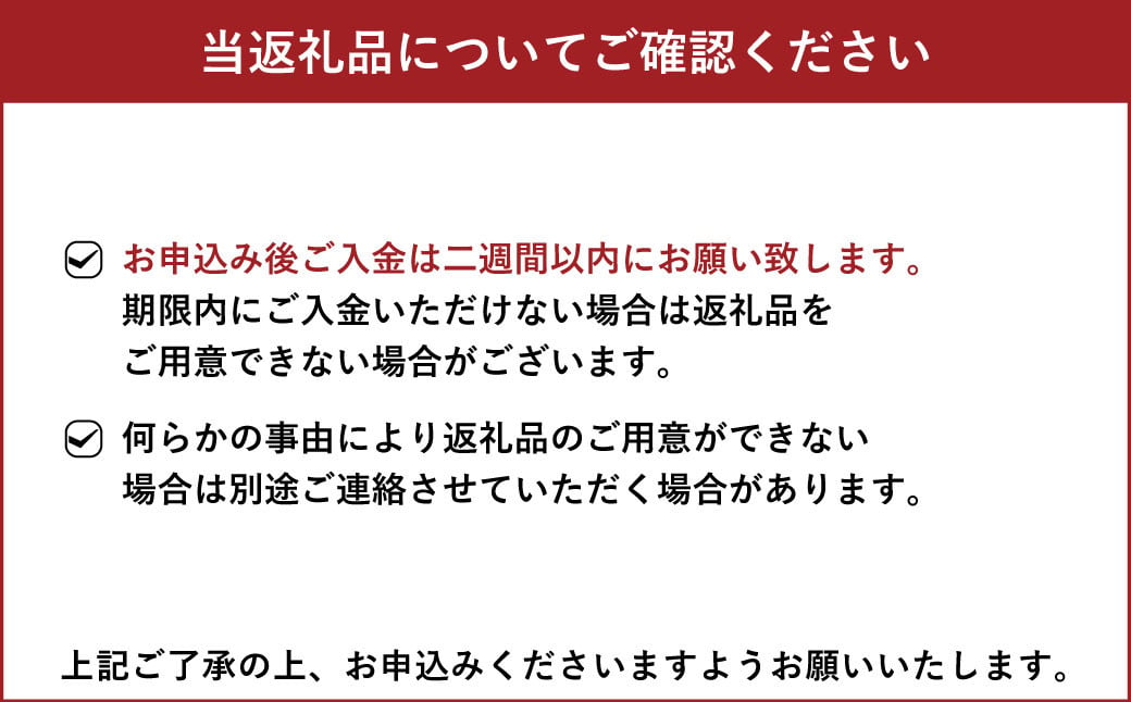 宇城市産 フルーツトマト アイコ 約2kg【6月下旬までに発送予定】【しんたのトマト農園】