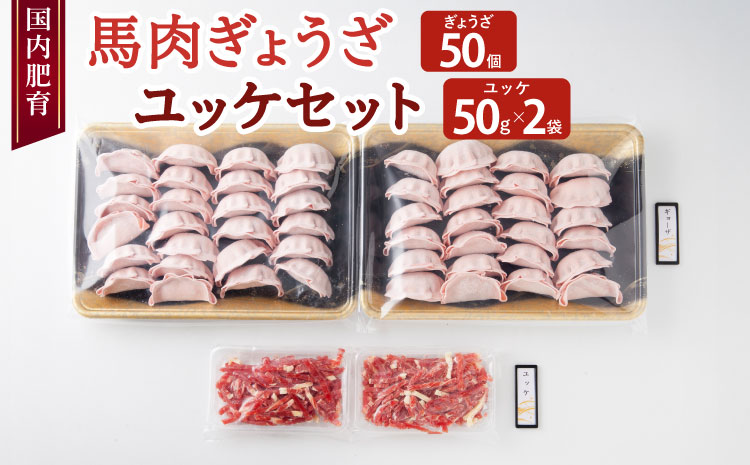 【国内肥育】馬肉 ぎょうざ 50個 ユッケ 100g（50g×2袋）