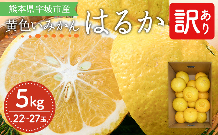 【先行予約】  訳あり はるか 約5kg（22玉〜27玉）【吉田レモニー】【2026年2月上旬〜2026年5月下旬発送】