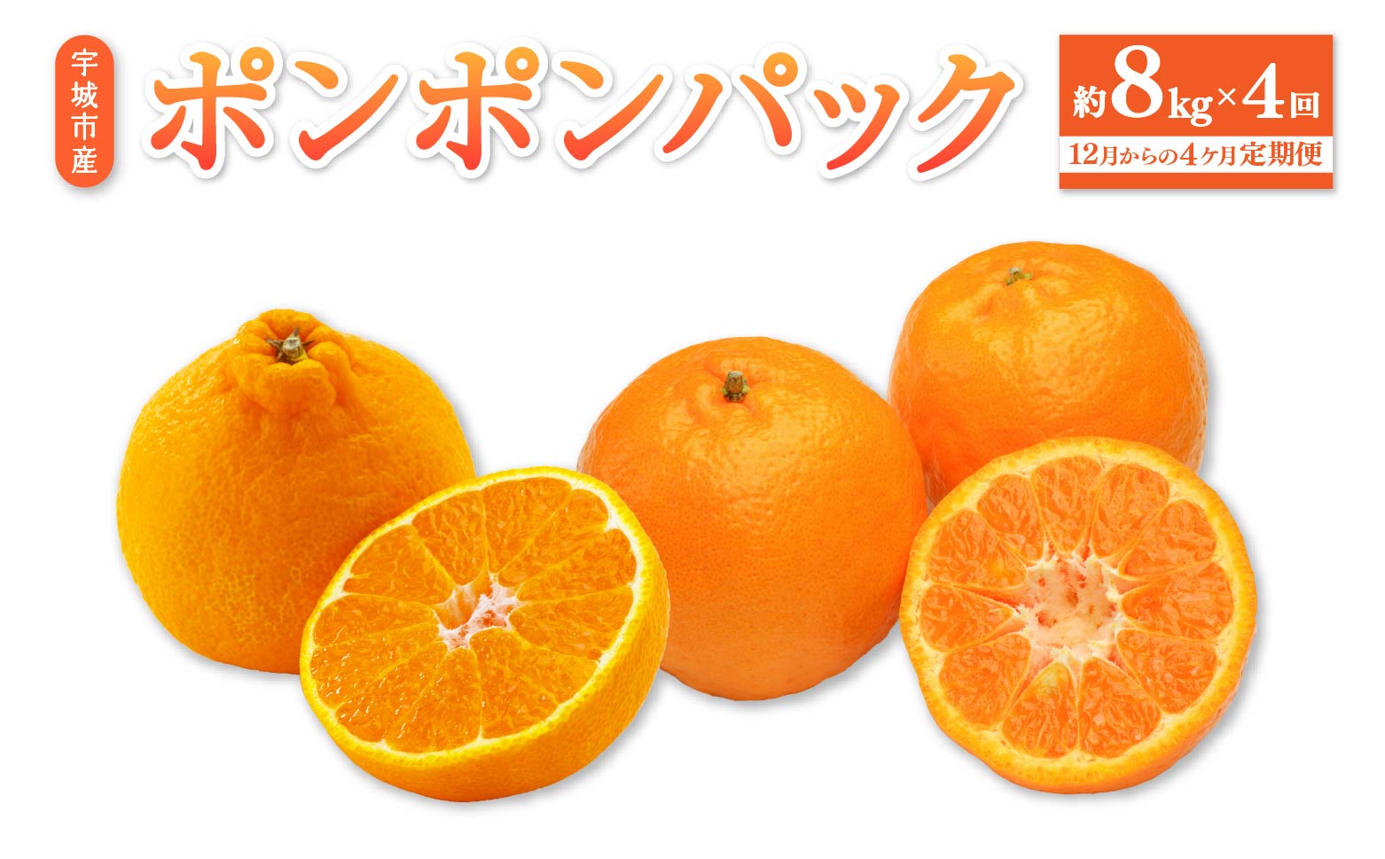 先行予約 【12月からの4ヶ月定期便】ポンポンパック 定期便 柑橘 果物 くだもの ぽんかん 椪柑 しらぬい 柑橘 みかん ミカン 蜜柑 フルーツ くだもの 果物 定期 セット お取り寄せ 熊本県 宇城市 ひでみかん