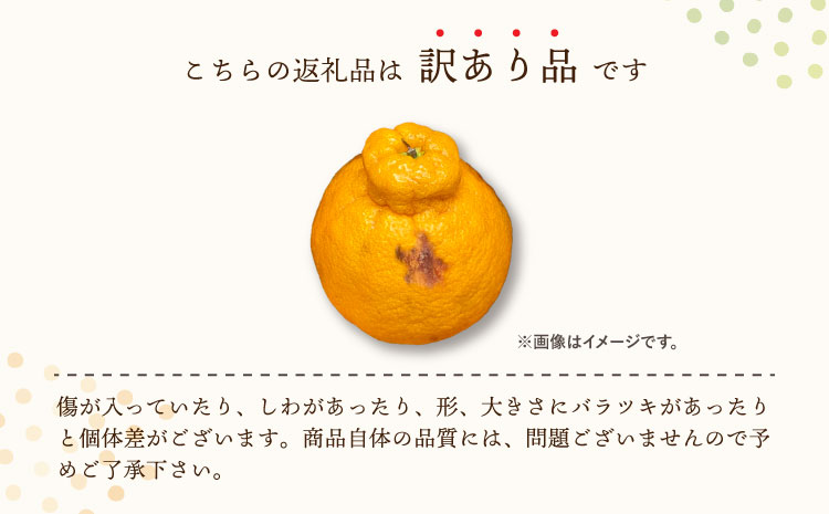 みかん 不知火 あーちゃん家の不知火 訳あり 10kg 約40〜50玉前後 【2026年4月上旬〜5月下旬発送予定】 わけあり しらぬい 柑橘 熊本県産 九州産 国産 宇城市産 