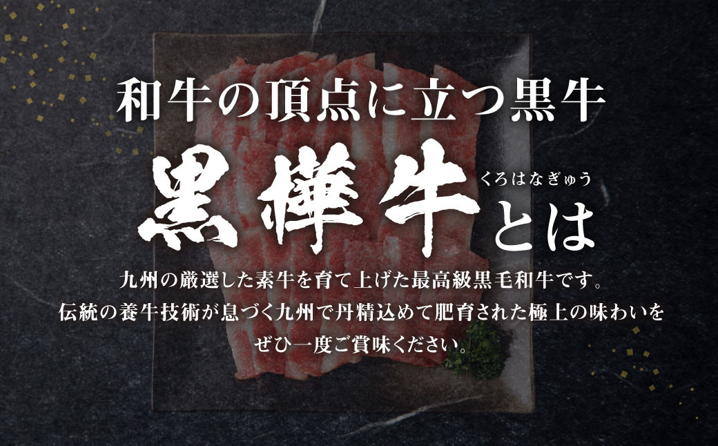 九州産黒毛和牛 杉本本店 黒樺牛 A4～A5等級 焼肉用カルビ 250g×2 計500g