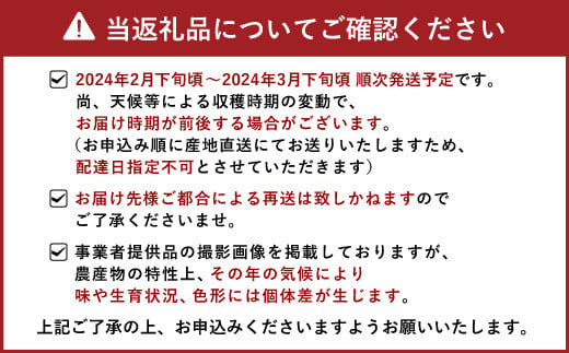 【2024年2月下旬〜順次発送予定】熊本県宇城市産 デコポン 4L〜Sサイズ 約2.5kg でこぽん 不知火 果物 柑橘