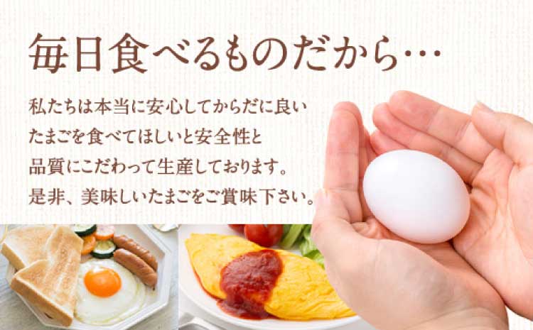 ææ¡ã ãããããŸã 90åïŒMãµã€ãºïŒåµ 10åç Žæè£åå«ã