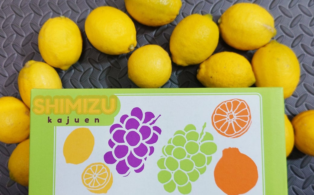 ユーレカ レモン 約5kg 【清水果樹園】【2024年9月下旬から11月下旬発送予定】