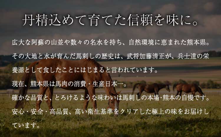 馬刺しセット 1.6kg 馬刺し 盛合わせ