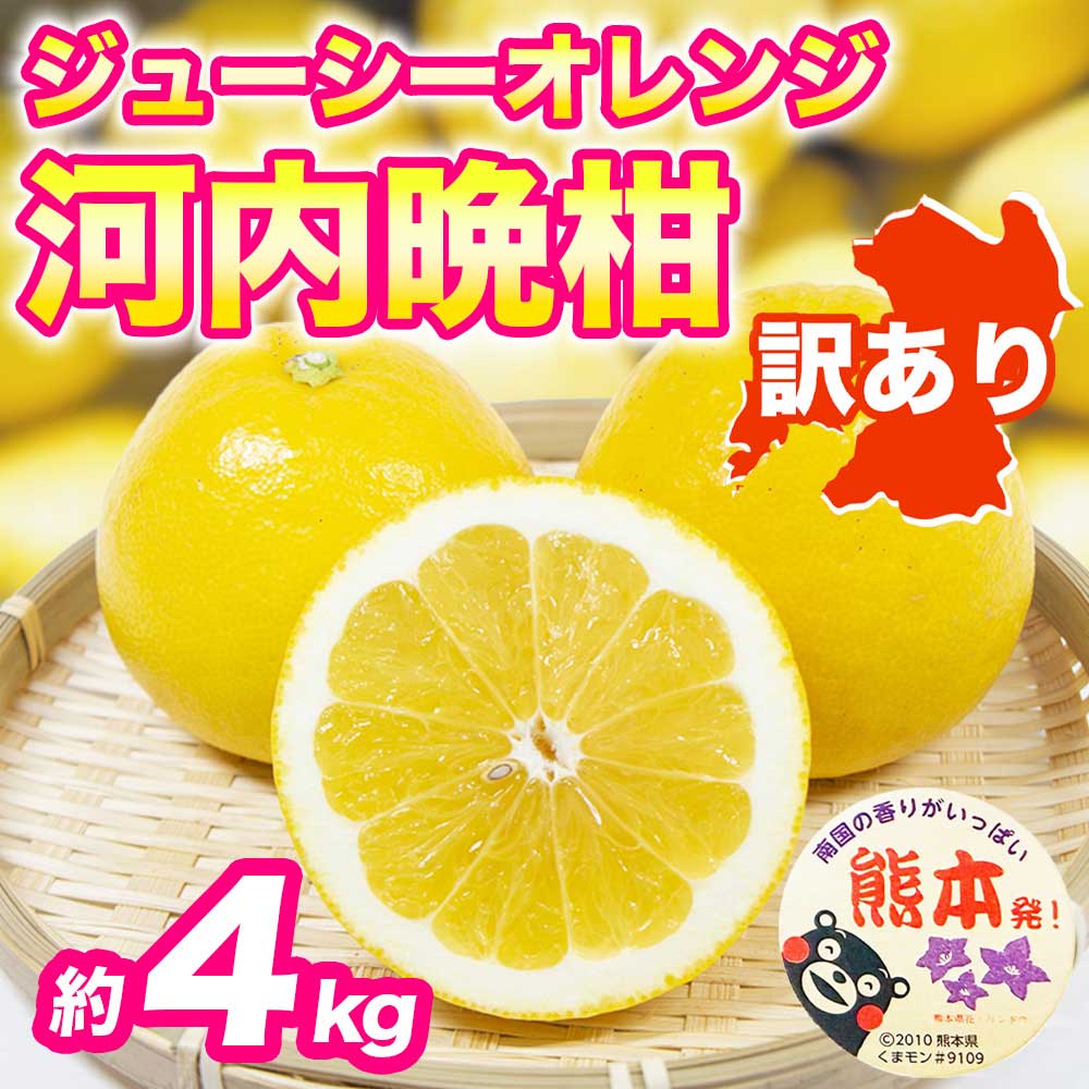 先行予約 訳あり河内晩柑 ジューシーオレンジ みかん 選べる容量 約4kg【2027年3月上旬〜4月中旬発送予定】かわちばんかん 果物 フルーツ くだもの 柑橘 柑橘類 フルーツ 国産 熊本 熊本県 九州 産地直送 日本フルーツ