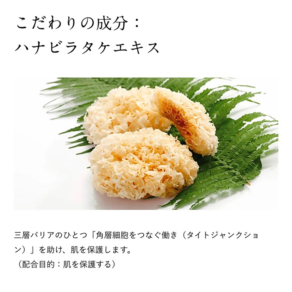 蜀肴丼鬢ィ陬ス阮ャ謇 繝峨Δ繝帙Ν繝ウ繝ェ繝ウ繧ッ繝ォ 菫晁ュキ 荵ウ豸イ 100ス広 蜀肴丼鬢ィ陬ス阮ャ謇