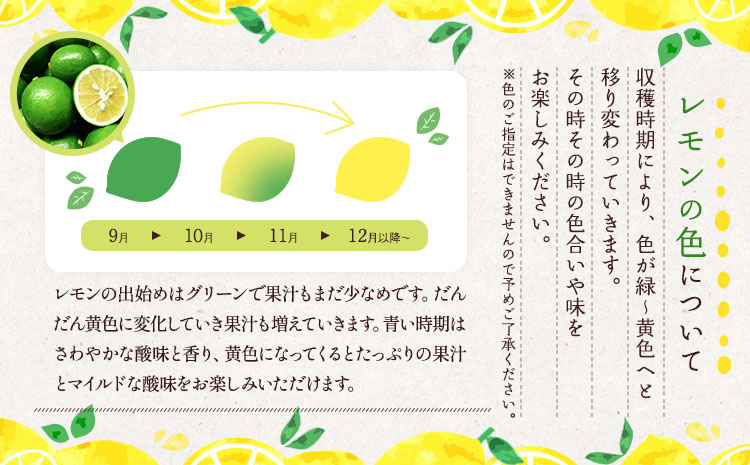 é£ã¹ãã¬ã¢ã³ ã¹ã€ãŒãã¬ã¢ããŒã çŽ3kgïŒ20ã30çïŒãåç°ã¬ã¢ããŒãã2025幎12æäžæ¬-2026幎6æäžæ¬çºéã