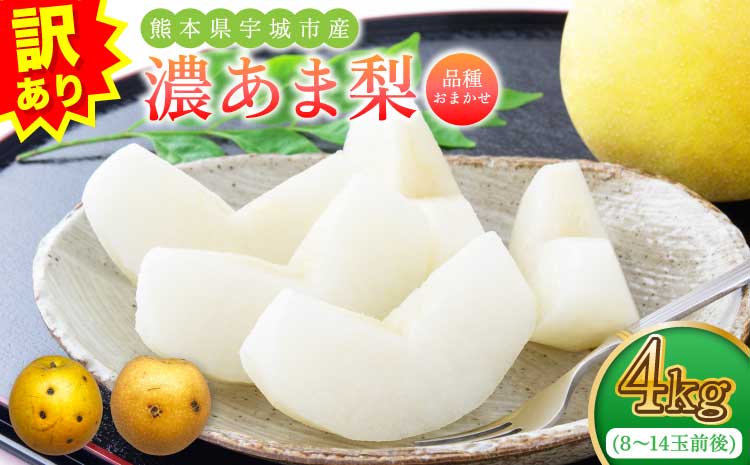 先行予約 訳あり 濃あま梨 約4kg 品種おまかせ 【2026年8月中旬から9月下旬発送予定】 梨 なし 秋月 幸水 豊水 新高 秋麗 甘太 和梨 お取り寄せ 冷蔵 国産 九州 熊本県 宇城市 小川町産 農園とフォーク青果店