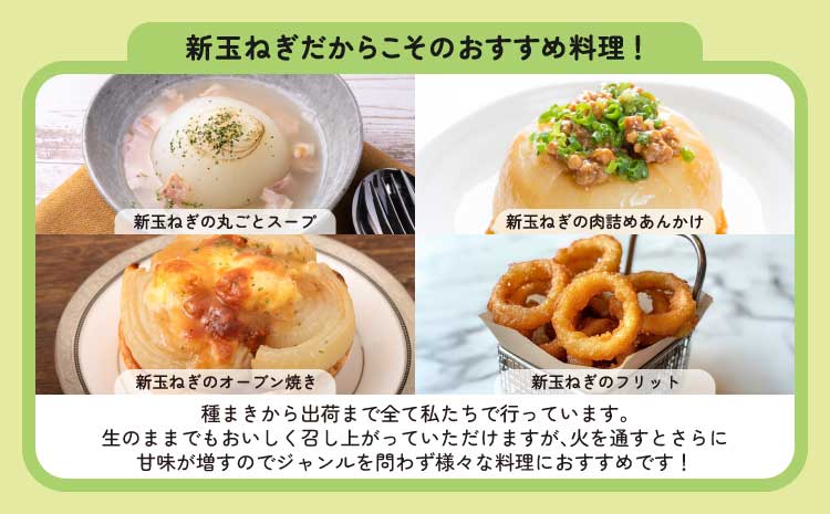  新玉ねぎ 約5kg 訳あり【2026年2月中旬～3月上旬発送】 玉ねぎ たまねぎ 国産 野菜 春野菜 無農薬 サイズ混合 産地直送 産直 数量限定 季節限定 木戸口菜園