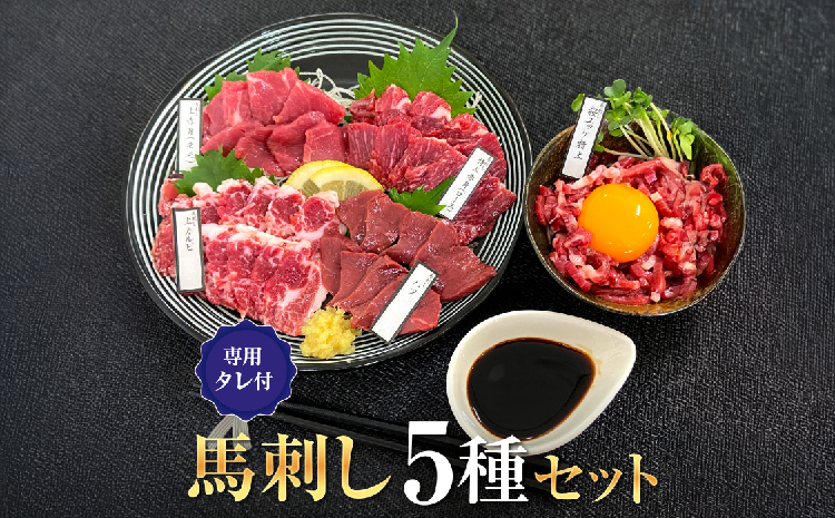 馬刺しセット 5種 1ブロック45g～50g 8～10切れ 約1人前 馬刺し 熊本 馬刺 国産 ギフト 肉 馬肉 グルメ おつまみ 晩酌 内祝い お歳暮 御歳暮 熊本県 宇城市 大阪馬肉屋TMP