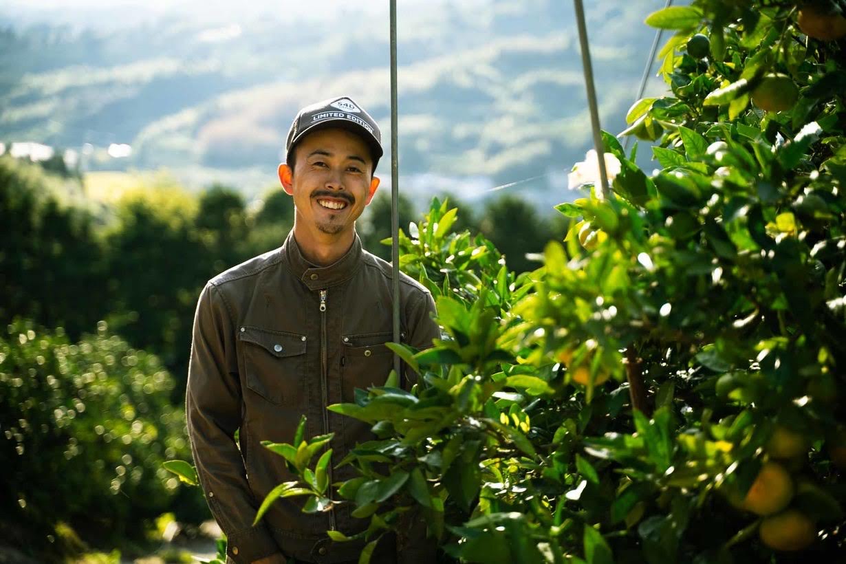 河内晩柑 ジューシーオレンジ 約4.5kg 【高橋果樹園】【2026年4月上旬から2026年6月下旬順次発送予定】晩柑 熊本県 宇城市 宇城市産河内晩柑 熊本県産河内晩柑 国産河内晩柑 