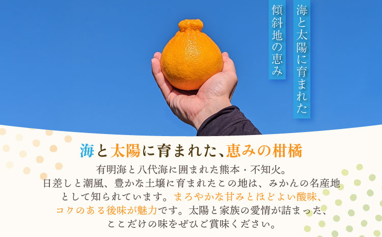 宇城市産  あーちゃん家の 不知火 5kg 【2026年4月上旬〜5月下旬発送予定】 しらぬい 柑橘 みかん ミカン 蜜柑 オレンジ 