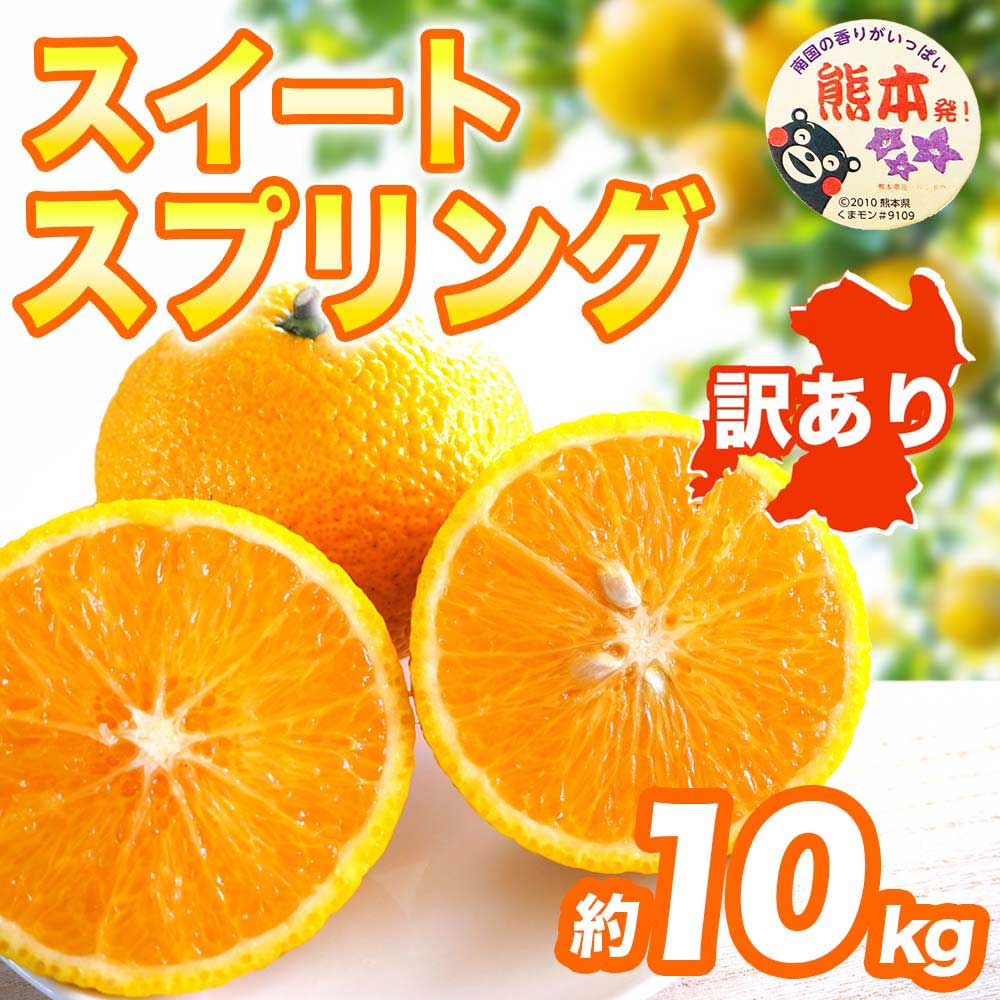 先行予約 訳ありスイートスプリング 約10kg【2027年1月中旬〜2027年3月上旬配送予定】みかん オレンジ 果物 フルーツ くだもの 柑橘 柑橘類 フルーツ 国産 熊本 熊本県 九州 産地直送 わけあり ワケアリ 日本フルーツ