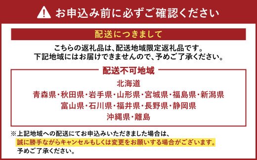 【11月上旬～順次発送予定】熊本県産 活き 車海老 大サイズ 厳選品 約1kg（22～34尾程度）エビ えび 活き海老