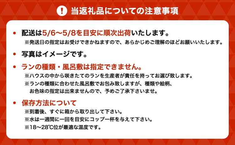 è¡è¶è è± æ¯ã®æ¥ ããã£è¡è¶è è¯ããã ãã¬ãã¢ã 2æ¬ç«ã¡ ã2026幎5æäžæ¬é çºéäºå®ã ãã¬ãŒã³ã è ã©ã³ æŽè ããã£ãµã€ãº 芳è³çš ãç¥ã èŽç èŽççš ãããã ãããã 颿€ã é¢šåæ· ã€ã³ããªã¢ ç£å°çŽé éæç¡æ æ ªåŒäŒç€Ÿãªããã