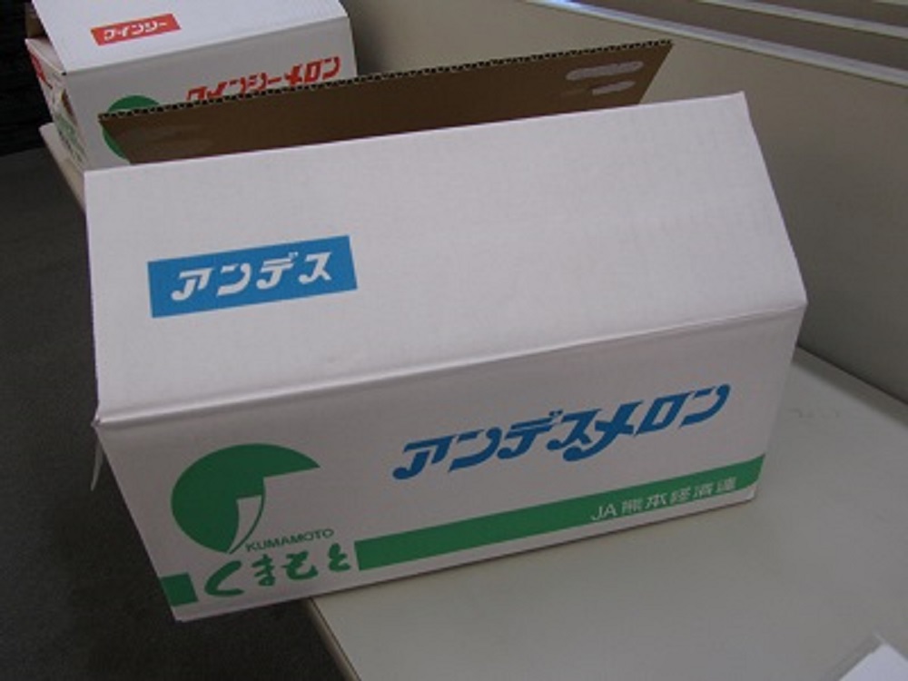 【先行予約】【2026年4月中旬〜5月中旬頃発送予定】アンデスメロン 4玉入り 合計約5kg