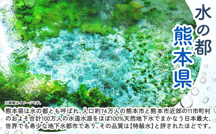 【6ヶ月定期便】熊本のおいしいお水 阿蘇のメイスイ 2L×12本（2ケース）