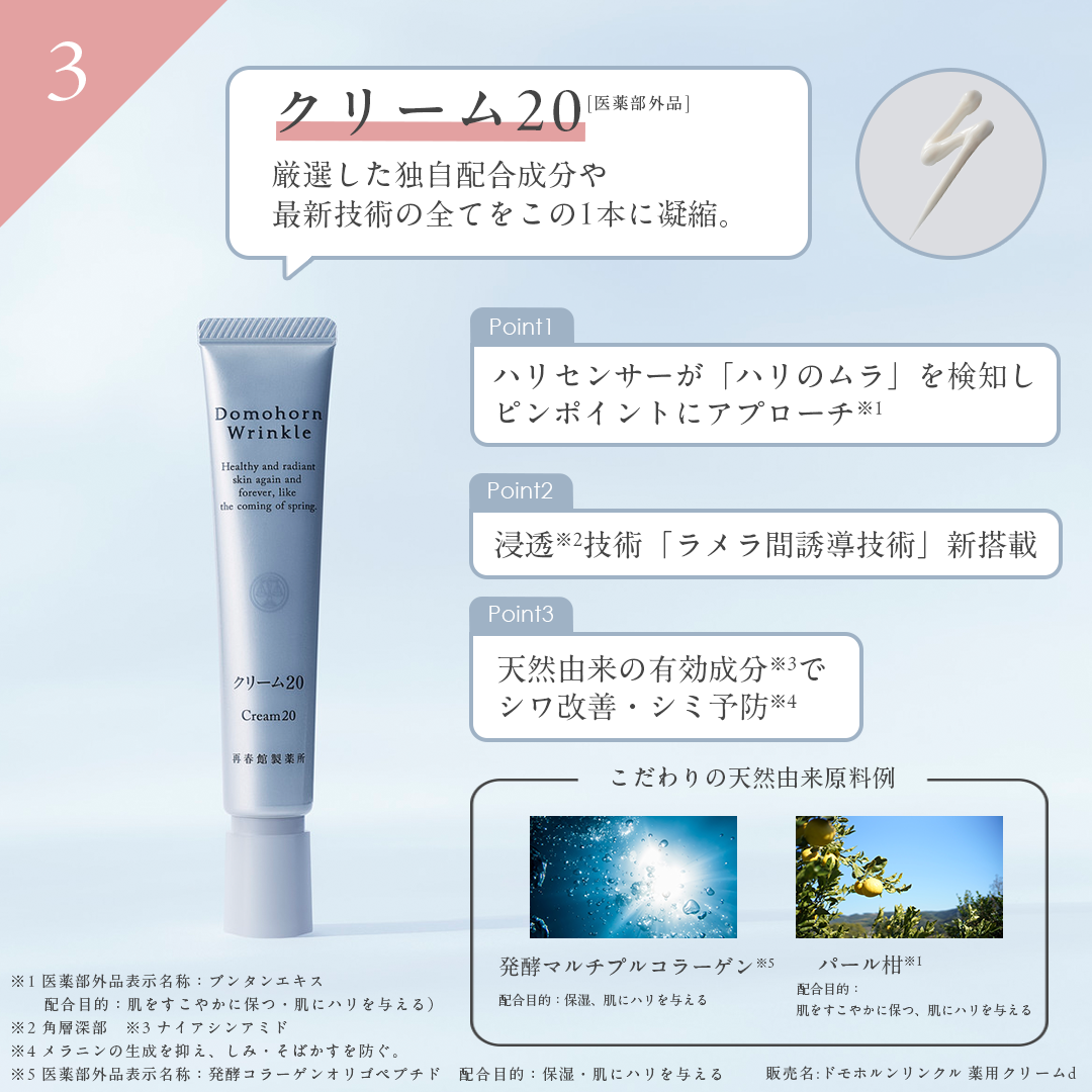 ドモホルンリンクル 基本4点セット 化粧水 美容液 クリーム 乳液 約60日分 再春館製薬所 保湿液 美活肌エキス クリーム20 保護乳液 スキンケア フェイスケア