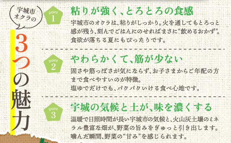 ãå
è¡äºçŽãã2026幎4æäžæ¬ãã2026幎10æäžæ¬é é æ¬¡çºéäºå®ããªã¯ã© ããã åšç°ããå®¶ã®ãªã¯ã©800gïŒ80gÃ10è¢ïŒ æ°é®®éè å€éè å®¶åºæç åœç£ åœç£éè çæ¬çç£ åœç£ ä¹å· çæ¬ç å®ååž ç²ããåŒ·ã æããã çãå°ãªã ã·ã£ãã·ã£ã ã飯ã®ãäŸ å€ãã察ç ãµã©ã ãã²ãã