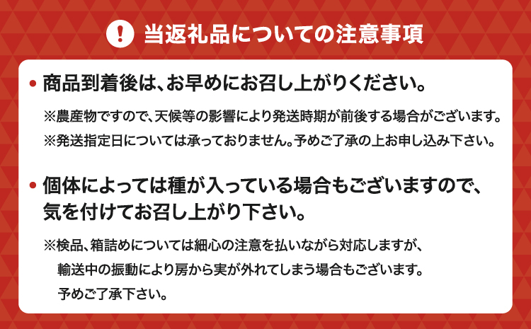 7月のぶどう屋さん 種なし巨峰 4房入り 1.5kg 松川果樹園 種無し巨峰 種なし たねなし きょほう ぶどう 葡萄 熊本県 宇城市産 冷蔵 送料無料【2026年7月上旬〜8月上旬頃順次発送予定】