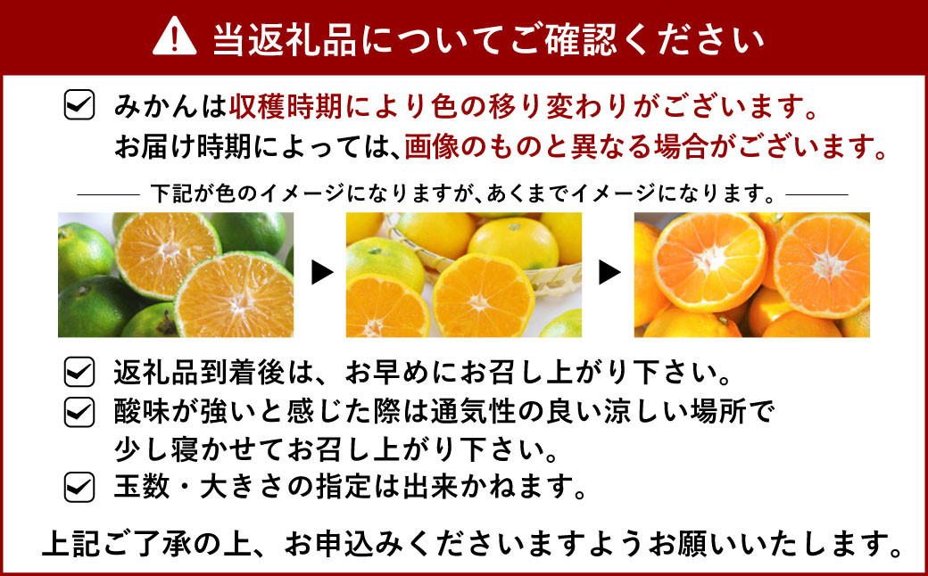 山口さん家の早生みかん 約5kg 【10月上旬から11月下旬発送予定】柑橘 みかん 果物 フルーツ