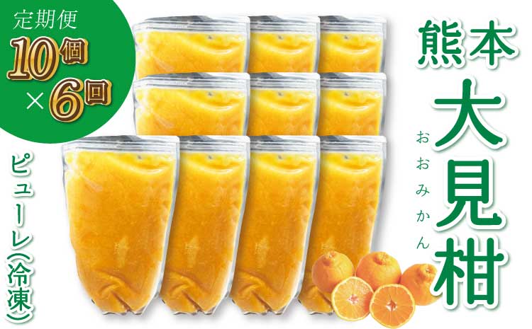 【定期便6回】熊本大見柑ピューレ(冷凍) 1kg入り 10個 不知火 不知火果汁 しらぬい デコポンと同品種 ジュース アイス お菓子 料理 爽やか 柑橘 果物 くだもの フルーツ 熊本県産 九州産 国産 宇城市産 株式会社la Nui.